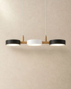 Black and white linear pendant light