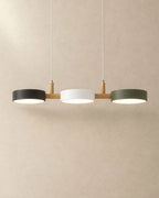 Black, white and green linear pendant light