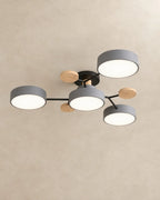 Gray 4-light sputnik ceiling light