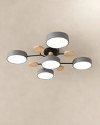 Gray 5-light sputnik ceiling light