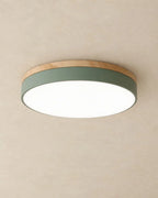 Green wood flush mount ceiling light