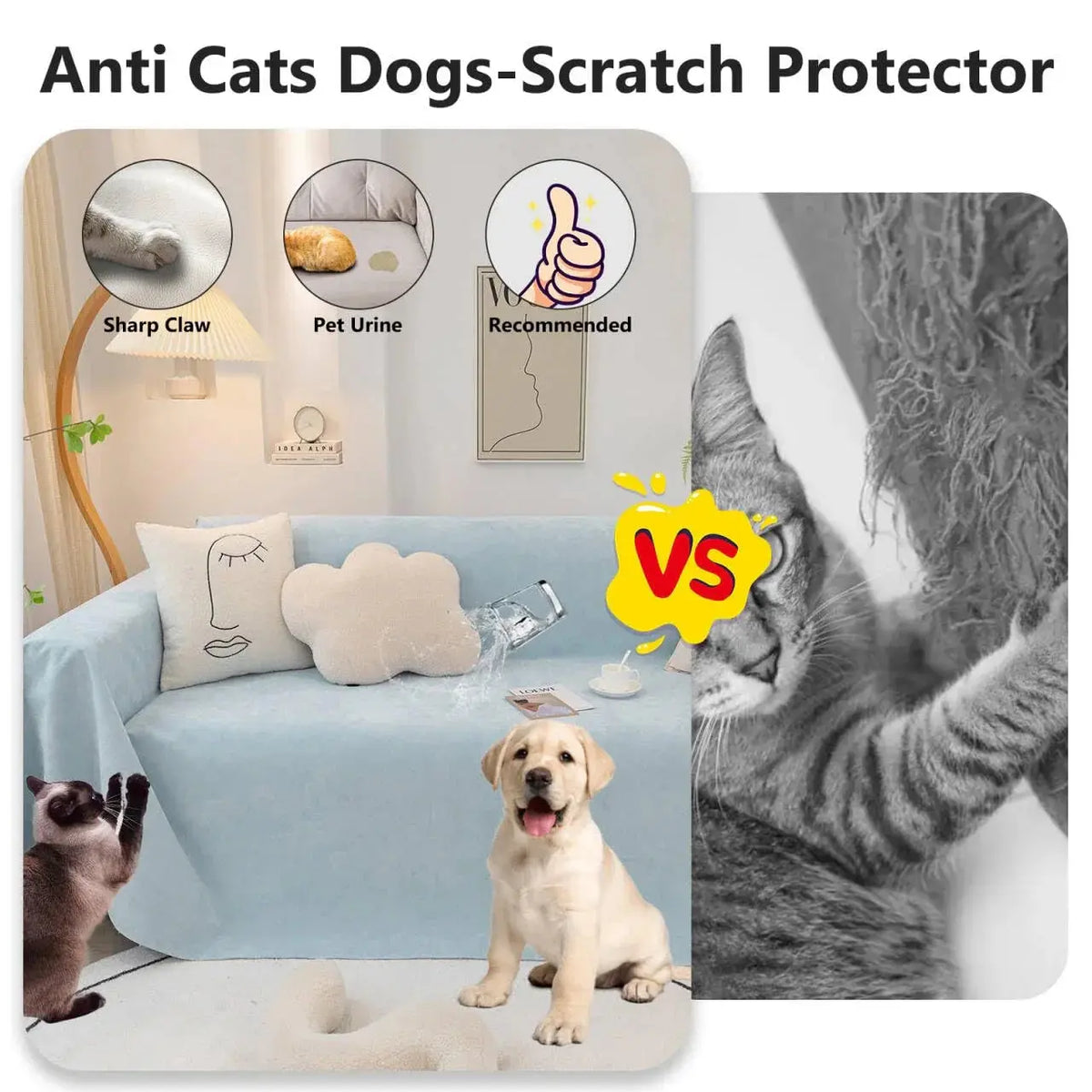Pet-friendly couch cover protecting sofa from cat and dog scratches