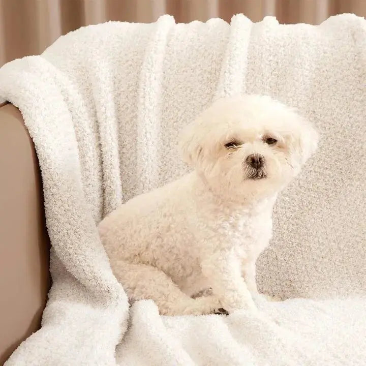 Small white dog on sherpa throw blanket