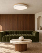 White flush mount ceiling light in living room