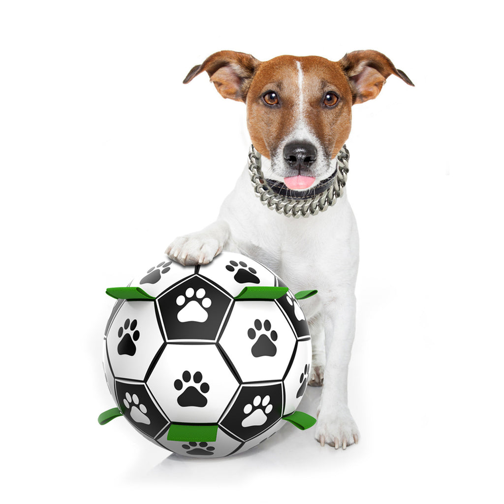 Doggo Ball - Interactive Dog Toy