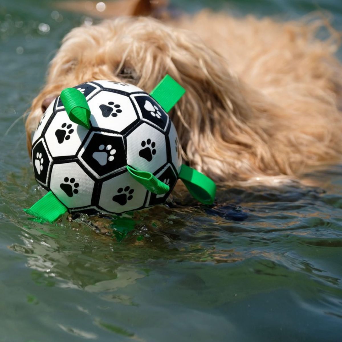 Doggo Ball - Interactive Dog Toy