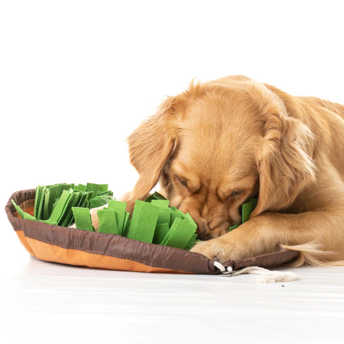 Dog search for treats in snuffle mat for dogs Foofield