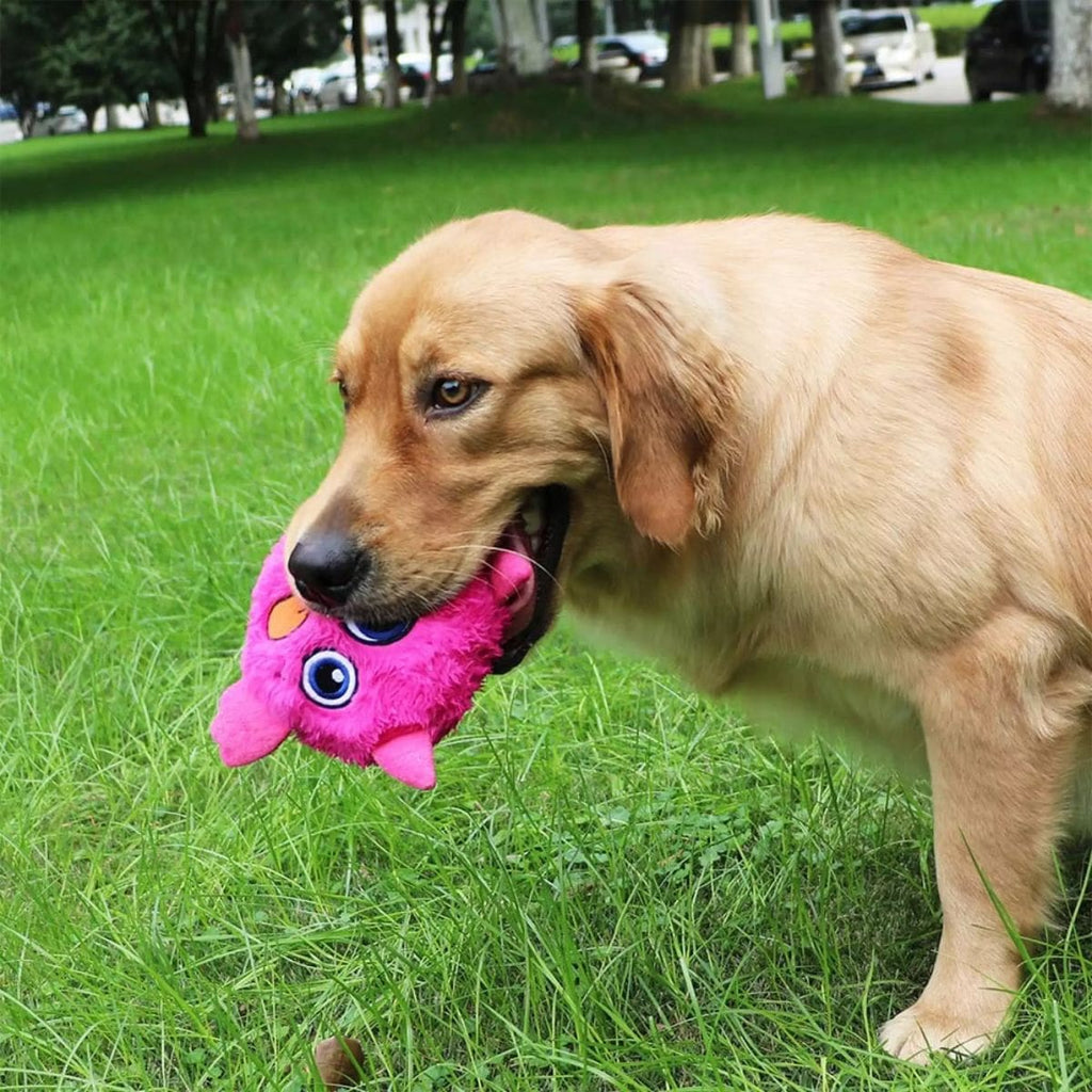 Crazy Monster - Interactive Dog Toy