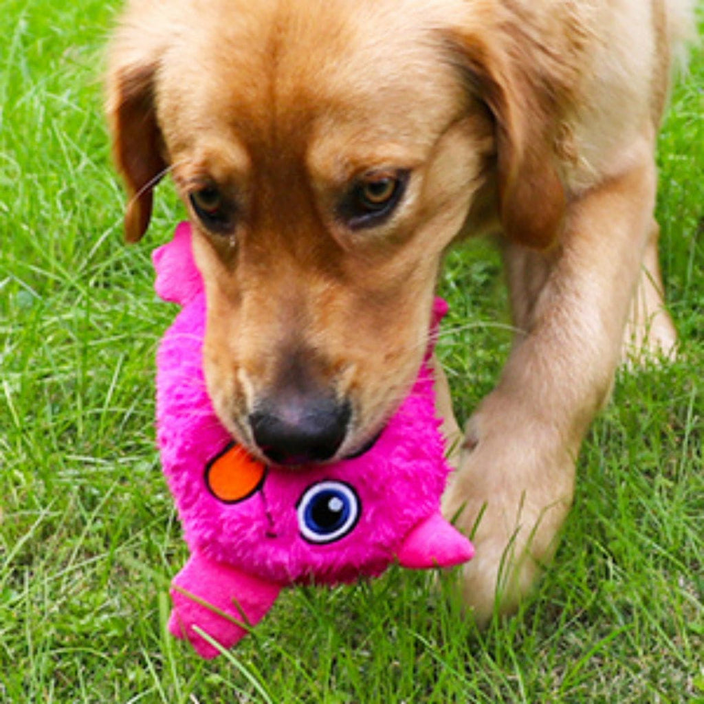 Crazy Monster - Interactive Dog Toy