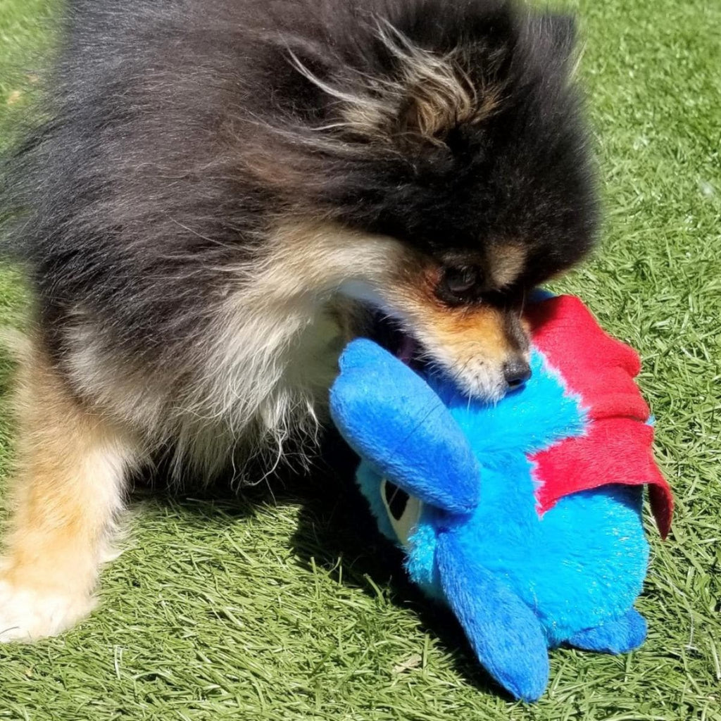 Crazy Monster - Interactive Dog Toy