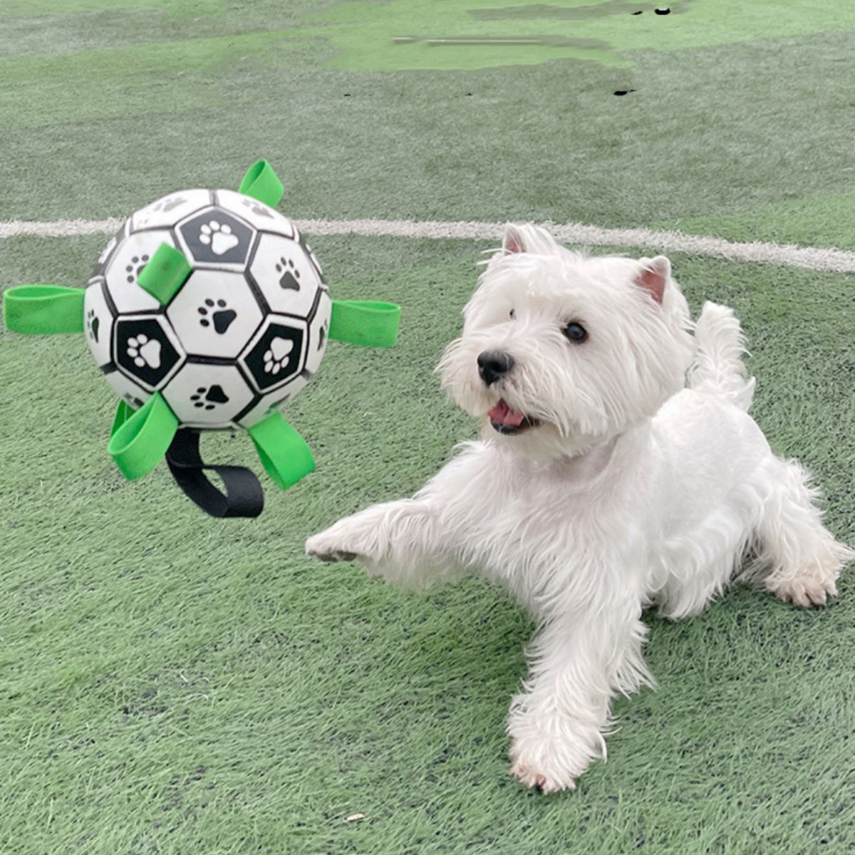 Doggo Ball - Interactive Dog Toy