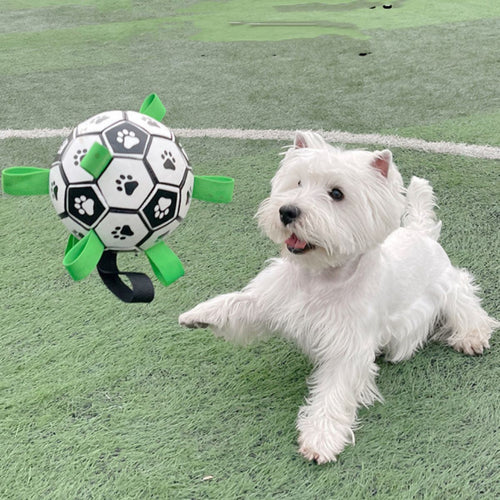 Doggo Ball - Interactive Dog Toy
